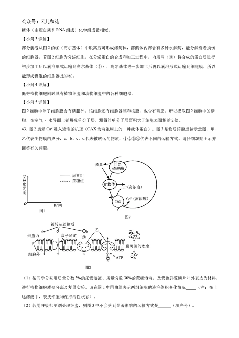 黑龙江省哈尔滨市香坊区哈尔滨市第九中学校2024-2025学年高一上学期12月月考生物试题Word版含解析_2025年01月试卷_0109黑龙江省哈尔滨市第九中学2024-2025学年高一上学期12月月考试题