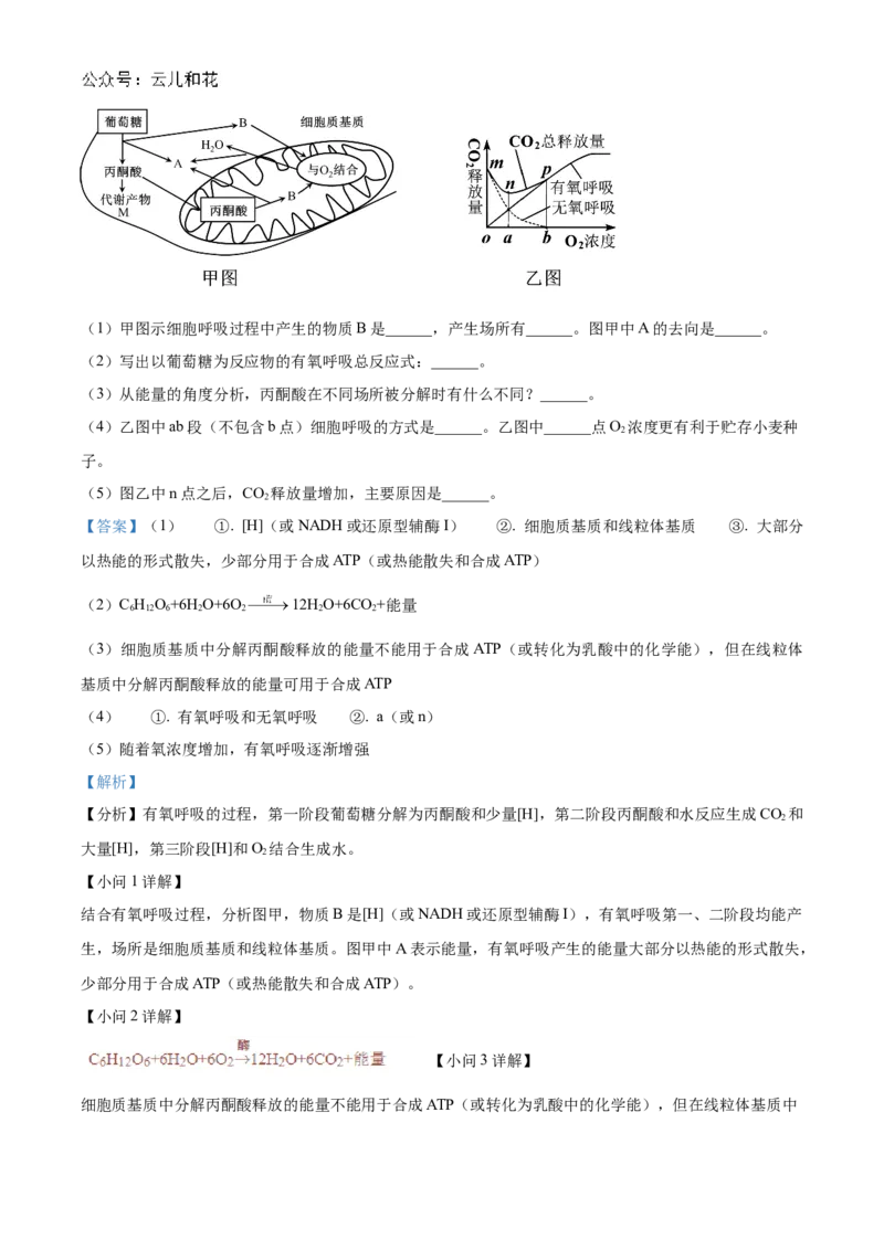 黑龙江省哈尔滨市香坊区哈尔滨市第九中学校2024-2025学年高一上学期12月月考生物试题Word版含解析_2025年01月试卷_0109黑龙江省哈尔滨市第九中学2024-2025学年高一上学期12月月考试题