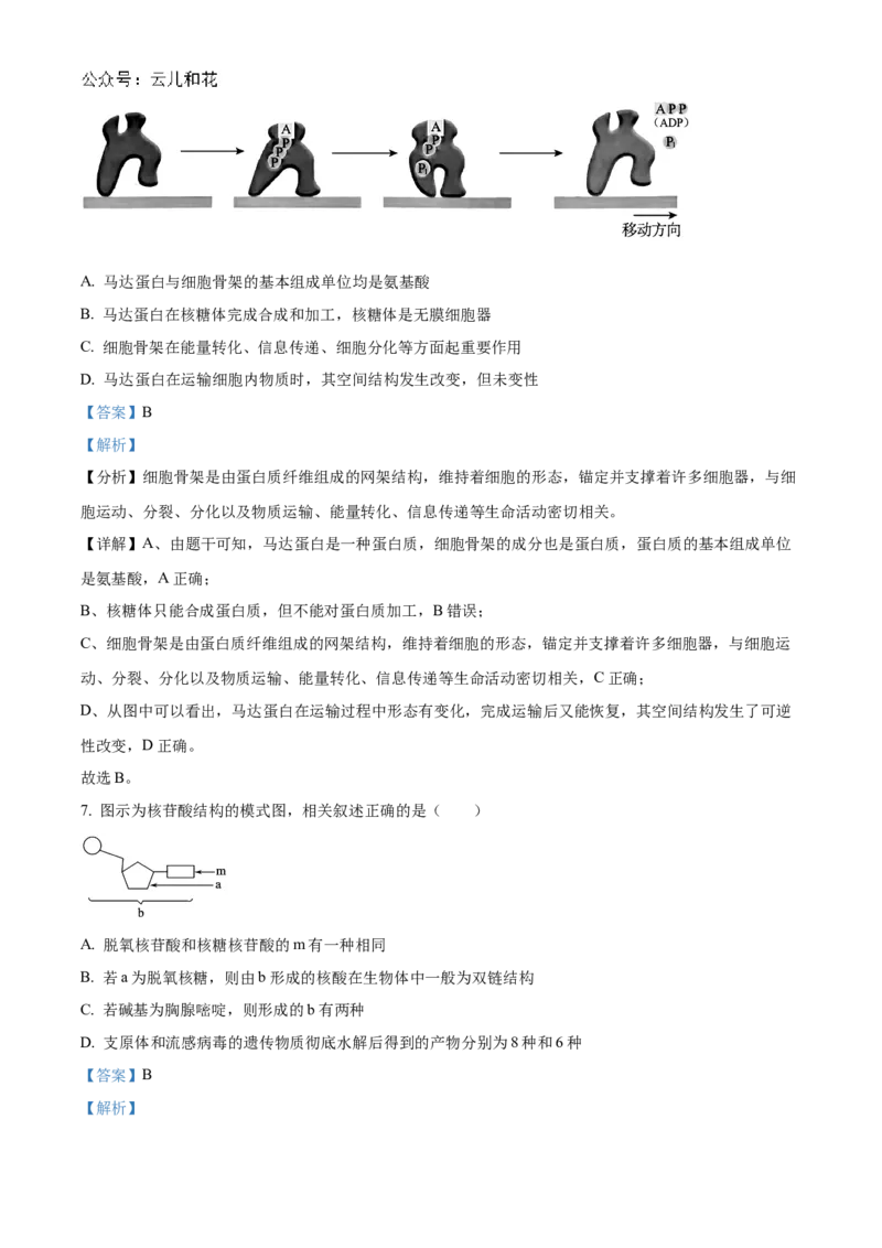 黑龙江省哈尔滨市香坊区哈尔滨市第九中学校2024-2025学年高一上学期12月月考生物试题Word版含解析_2025年01月试卷_0109黑龙江省哈尔滨市第九中学2024-2025学年高一上学期12月月考试题