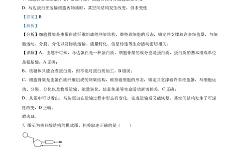 黑龙江省哈尔滨市香坊区哈尔滨市第九中学校2024-2025学年高一上学期12月月考生物试题Word版含解析_2025年01月试卷_0109黑龙江省哈尔滨市第九中学2024-2025学年高一上学期12月月考试题