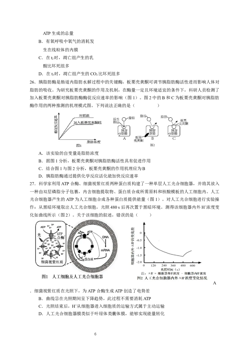 （新）2025高一上-生物期末考试卷(1)_2026年02月高一试卷_260219广东实验中学2025-2026学年高一上学期期末考试（全）_广东实验中学2025-2026学年高一上学期期末考试生物试题（含答案）