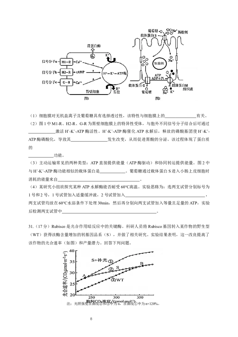 （新）2025高一上-生物期末考试卷(1)_2026年02月高一试卷_260219广东实验中学2025-2026学年高一上学期期末考试（全）_广东实验中学2025-2026学年高一上学期期末考试生物试题（含答案）