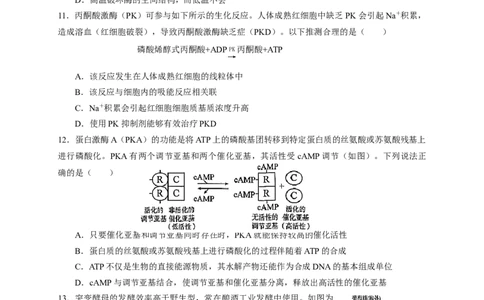 （新）2025高一上-生物期末考试卷(1)_2026年02月高一试卷_260219广东实验中学2025-2026学年高一上学期期末考试（全）_广东实验中学2025-2026学年高一上学期期末考试生物试题（含答案）