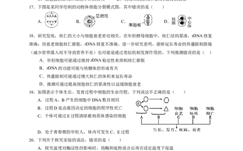 （新）2025高一上-生物期末考试卷(1)_2026年02月高一试卷_260219广东实验中学2025-2026学年高一上学期期末考试（全）_广东实验中学2025-2026学年高一上学期期末考试生物试题（含答案）