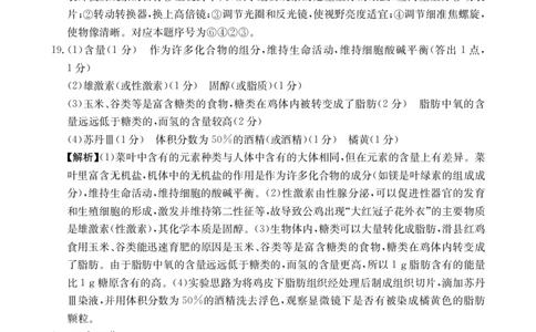 高一生物学答案_2025年10月高一试卷_251031金太阳&middot;河南省2025-2026年度上学期高一年级第一次联考（25-28A）（全）