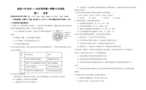 高一年级12月化学试卷_2026年01月高一试卷_260102河北省邯郸市武安市第一中学2025-2026学年高一上学期12月月考（全）