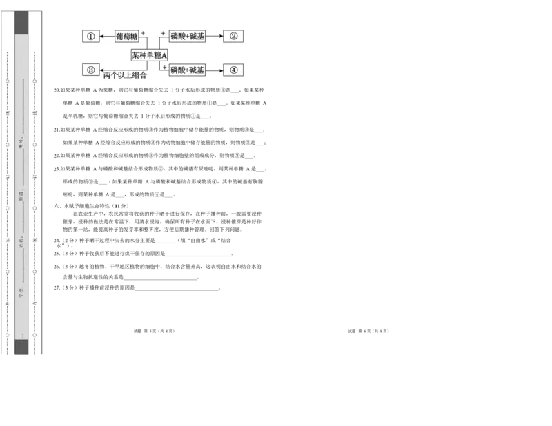 高一生物上学期第一次月考（上海专用）（考试版A3）_2025年10月高一试卷_2510032025-2026学年高一生物上学期第一次月考