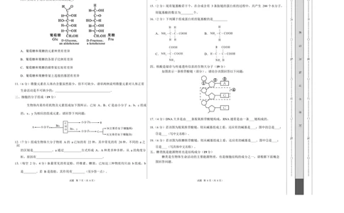 高一生物上学期第一次月考（上海专用）（考试版A3）_2025年10月高一试卷_2510032025-2026学年高一生物上学期第一次月考
