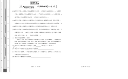 高一生物上学期第一次月考（上海专用）（考试版A3）_2025年10月高一试卷_2510032025-2026学年高一生物上学期第一次月考