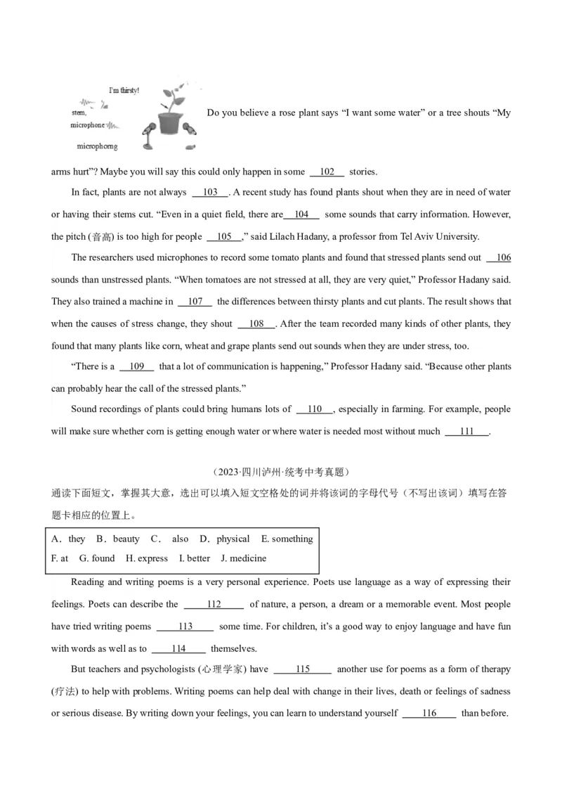 专题36短文填空考点4选词填空（全国通用）（原卷版）_中考复习资料_语数英物化_3英语中考复习_2026年中考复习（更新中）