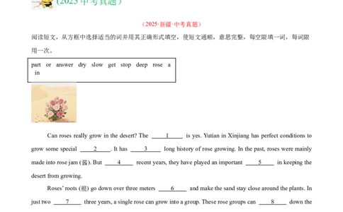 专题36短文填空考点4选词填空（全国通用）（原卷版）_中考复习资料_语数英物化_3英语中考复习_2026年中考复习（更新中）