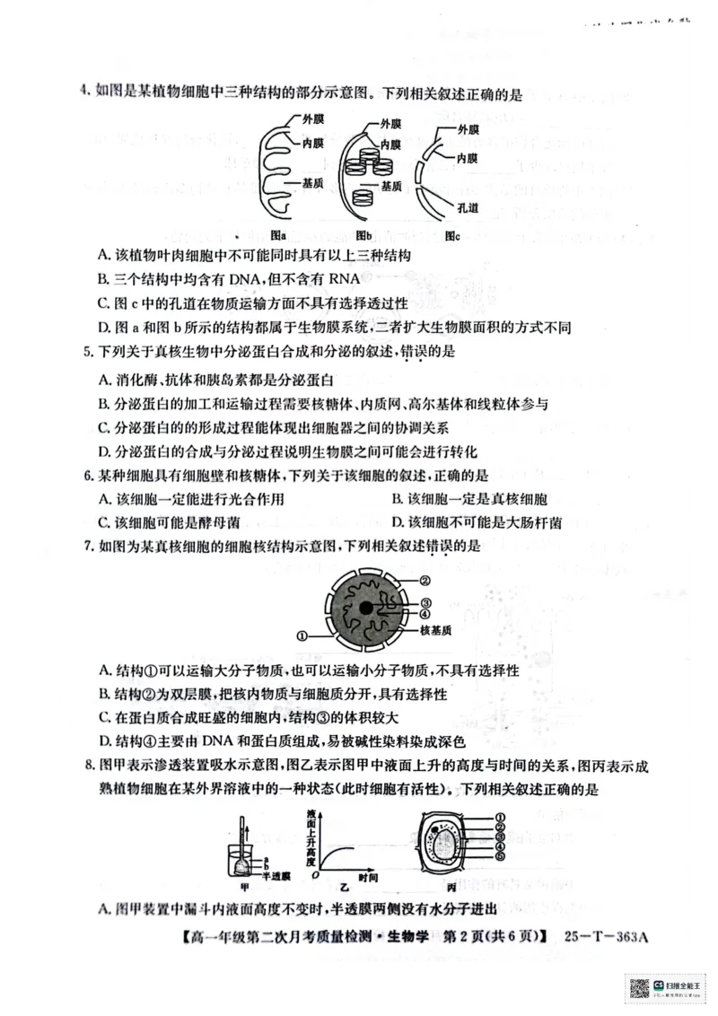 高一年级第二次月考质量检测生物_2024年12月试卷_1226陕西省榆林市府谷县部分学校2024-2025学年高一上学期12月月考试题
