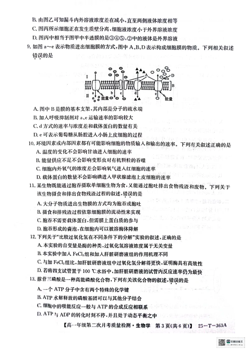 高一年级第二次月考质量检测生物_2024年12月试卷_1226陕西省榆林市府谷县部分学校2024-2025学年高一上学期12月月考试题