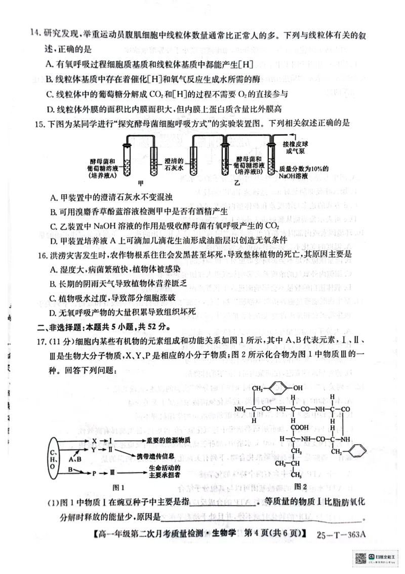 高一年级第二次月考质量检测生物_2024年12月试卷_1226陕西省榆林市府谷县部分学校2024-2025学年高一上学期12月月考试题