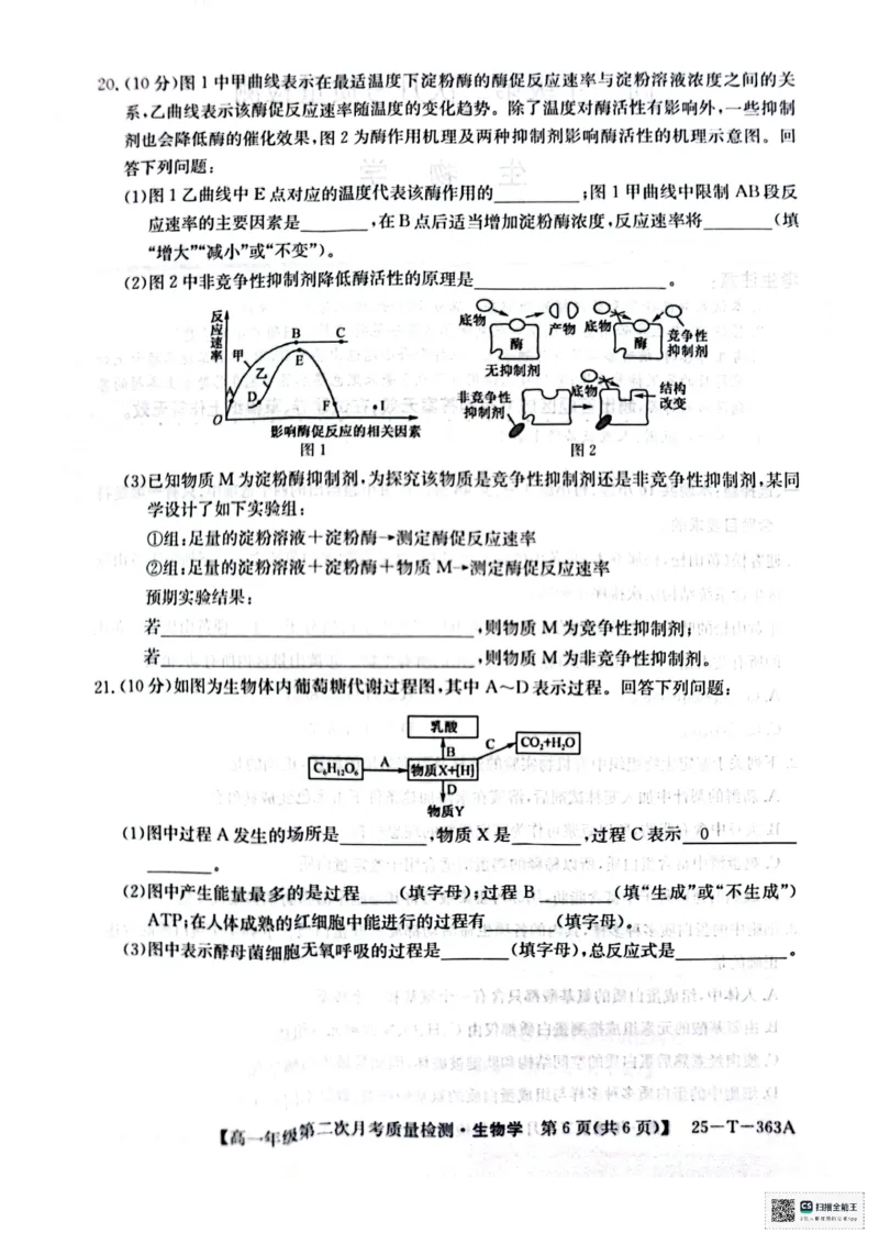 高一年级第二次月考质量检测生物_2024年12月试卷_1226陕西省榆林市府谷县部分学校2024-2025学年高一上学期12月月考试题