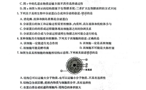 高一年级第二次月考质量检测生物_2024年12月试卷_1226陕西省榆林市府谷县部分学校2024-2025学年高一上学期12月月考试题