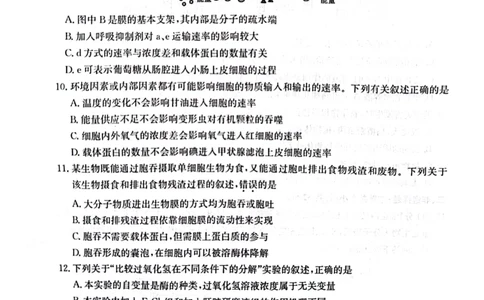 高一年级第二次月考质量检测生物_2024年12月试卷_1226陕西省榆林市府谷县部分学校2024-2025学年高一上学期12月月考试题
