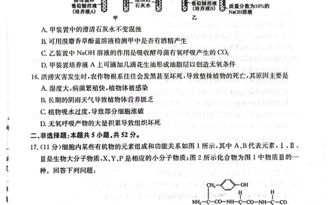 高一年级第二次月考质量检测生物_2024年12月试卷_1226陕西省榆林市府谷县部分学校2024-2025学年高一上学期12月月考试题