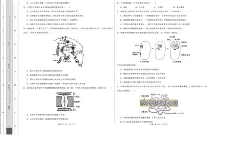 高一生物第一次月考卷测试范围：人教版2019必修1第1章~第3章（考试版A3）_2025年10月高一试卷_2510032025-2026学年高一生物上学期第一次月考