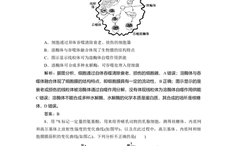高中生物一轮复习专题训练：第5讲细胞器之间的分工合作(word版含解析）_新高考复习资料_2023年新高考复习资料_一轮复习_名师精选2023届新高考生物一轮复习专题训练卷(word版含解析）