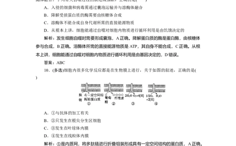 高中生物一轮复习专题训练：第5讲细胞器之间的分工合作(word版含解析）_新高考复习资料_2023年新高考复习资料_一轮复习_名师精选2023届新高考生物一轮复习专题训练卷(word版含解析）