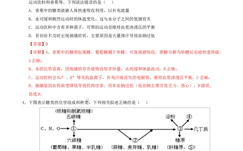 高一生物上学期第一次月考（苏教版2019）（全解全析）（苏教版2019）_2025年10月高一试卷_2510032025-2026学年高一生物上学期第一次月考
