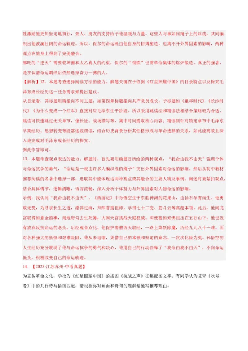 专题09名著导读（全国通用）（解析版）_中考复习资料_语数英物化_1语文中考复习_2026年中考复习（更新中）_好题汇编三年（2023-2025）中考语文真题分类汇编（全国通用）