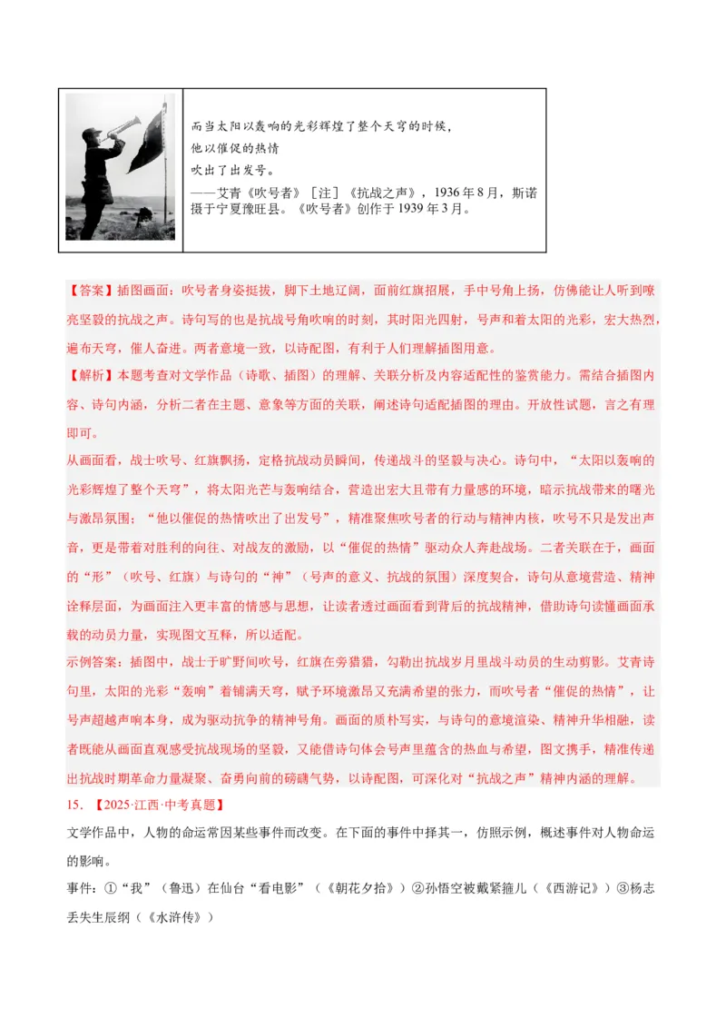 专题09名著导读（全国通用）（解析版）_中考复习资料_语数英物化_1语文中考复习_2026年中考复习（更新中）_好题汇编三年（2023-2025）中考语文真题分类汇编（全国通用）