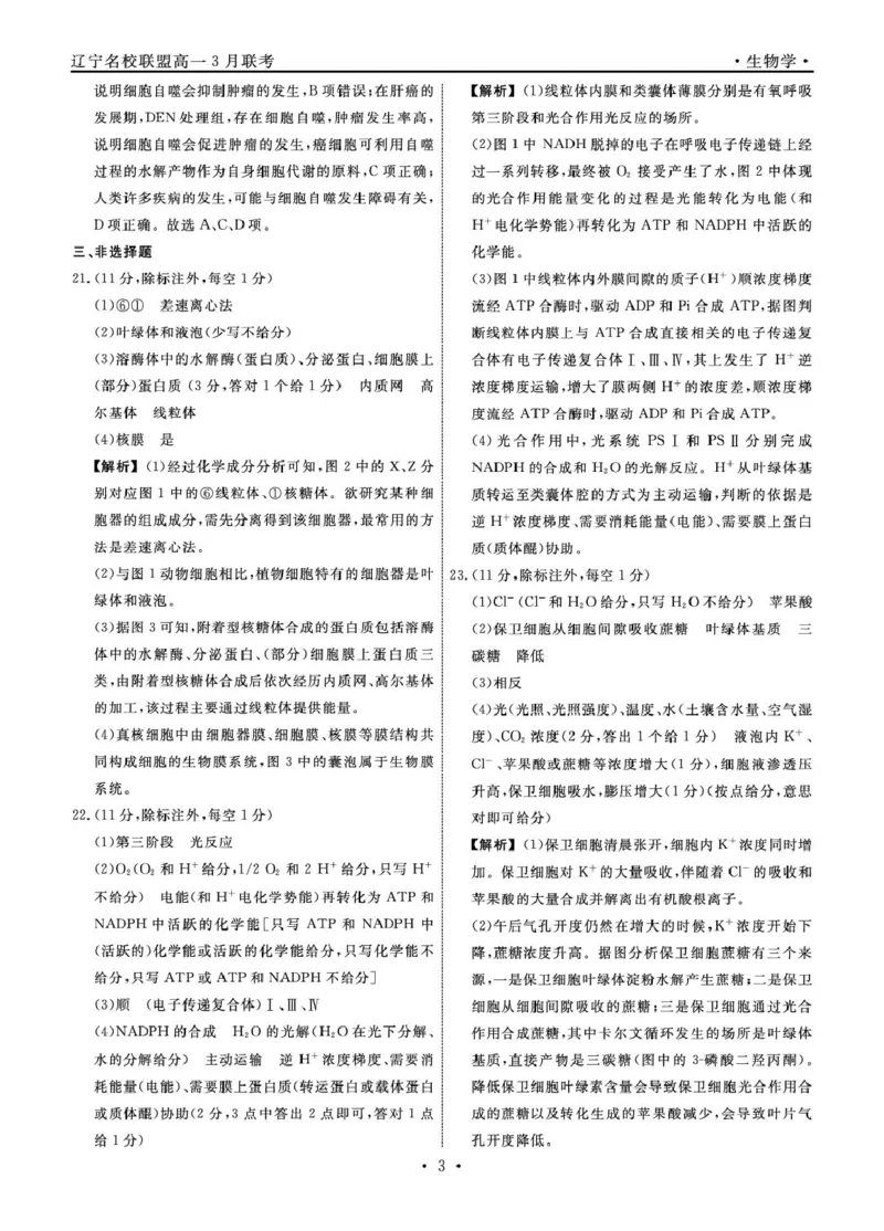 高一生物生物2025年辽宁高一3月联考答案_2025年03月试卷_0304辽宁省名校联盟2024-2025学年高一下学期3月联考_辽宁省名校联盟2024&mdash;2025学年高一下学期3月联考生物学试题（PDF版，含解析）