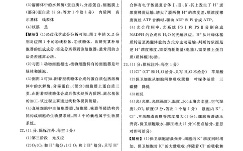 高一生物生物2025年辽宁高一3月联考答案_2025年03月试卷_0304辽宁省名校联盟2024-2025学年高一下学期3月联考_辽宁省名校联盟2024&mdash;2025学年高一下学期3月联考生物学试题（PDF版，含解析）