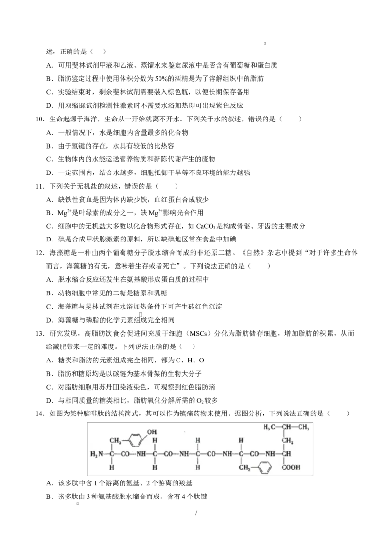 高一生物上学期第一次月考02测试范围：必修1第1章-第2章第4节（考试版）（人教版2019）_2025年10月高一试卷_2510032025-2026学年高一生物上学期第一次月考