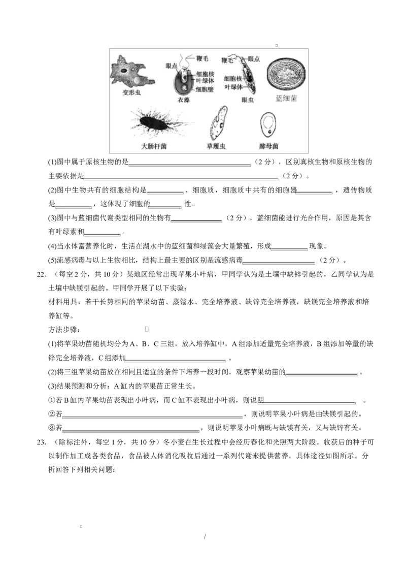 高一生物上学期第一次月考02测试范围：必修1第1章-第2章第4节（考试版）（人教版2019）_2025年10月高一试卷_2510032025-2026学年高一生物上学期第一次月考