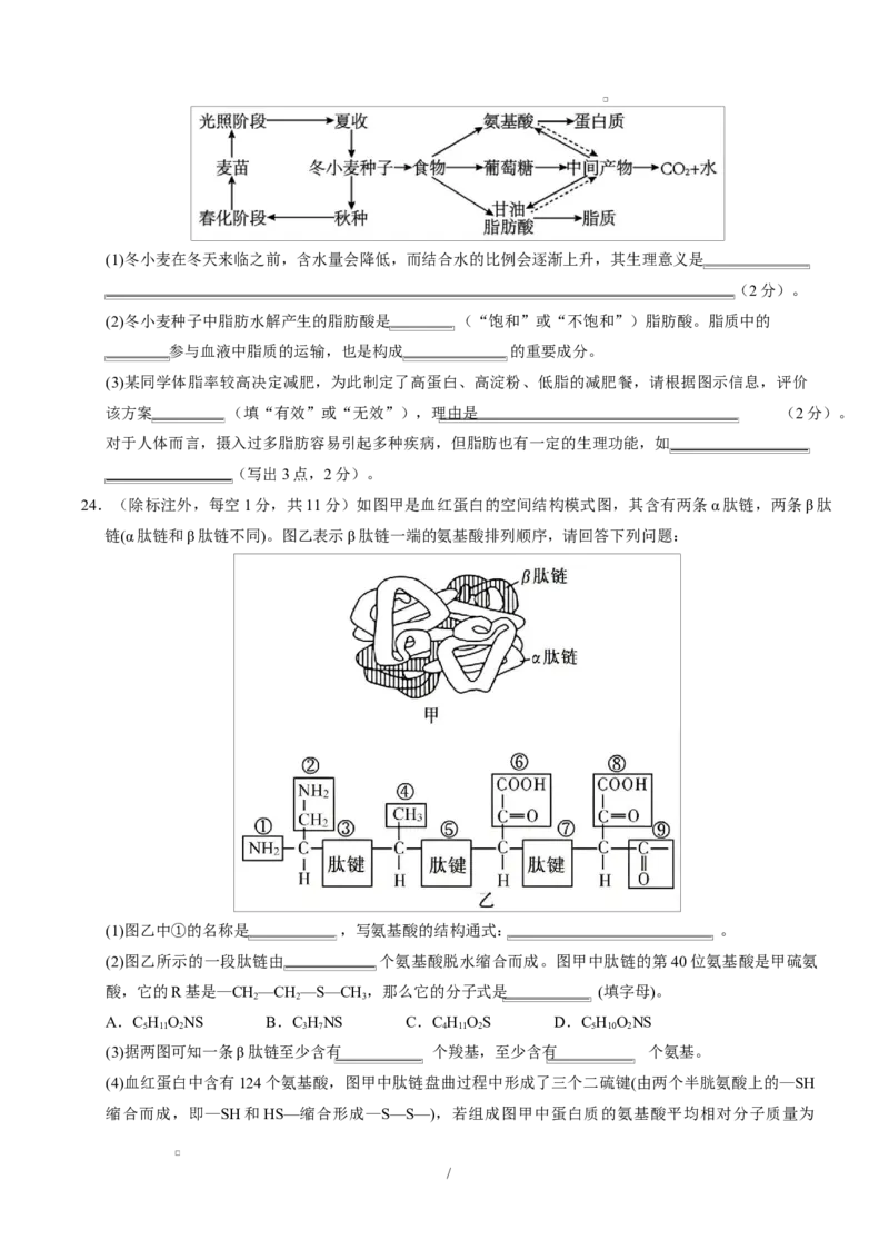 高一生物上学期第一次月考02测试范围：必修1第1章-第2章第4节（考试版）（人教版2019）_2025年10月高一试卷_2510032025-2026学年高一生物上学期第一次月考