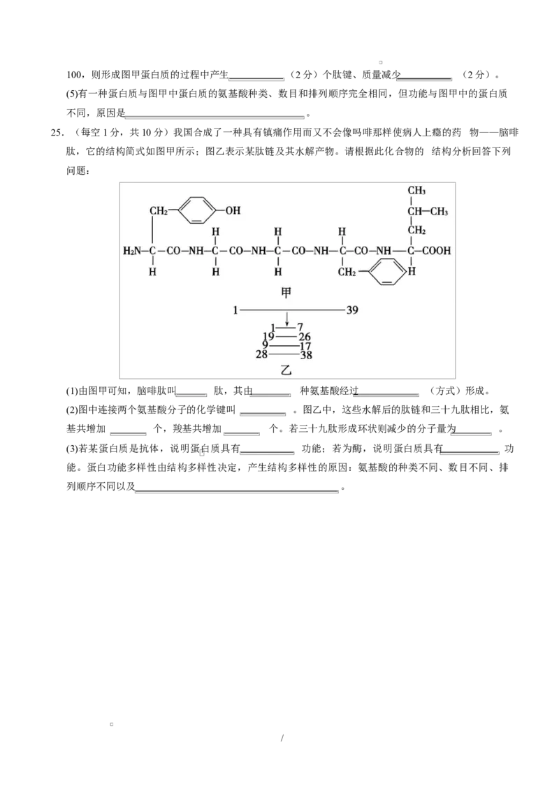 高一生物上学期第一次月考02测试范围：必修1第1章-第2章第4节（考试版）（人教版2019）_2025年10月高一试卷_2510032025-2026学年高一生物上学期第一次月考
