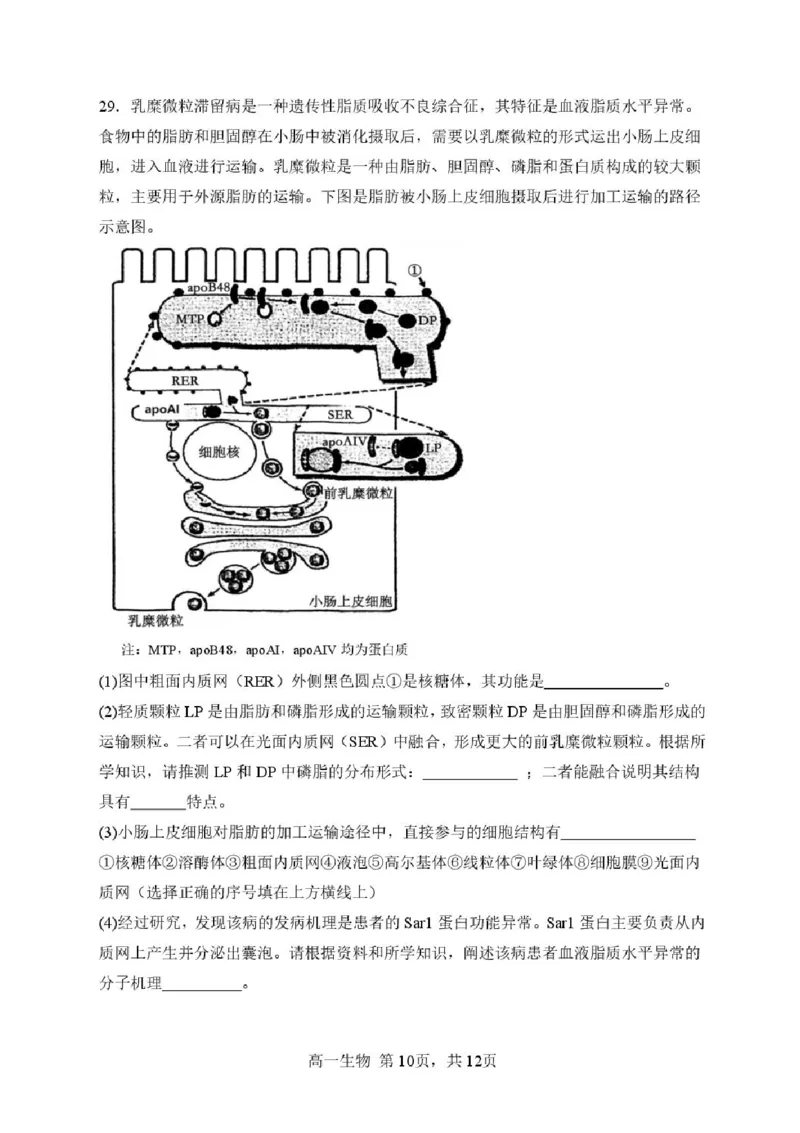 黑龙江省哈尔滨市第三中学校2025-2026学年高一上学期11月期中生物试题含答案_2025年11月高一试卷_251110河黑龙江省哈尔滨市第三中学校2025-2026学年高一上学期11月期中考试（全）
