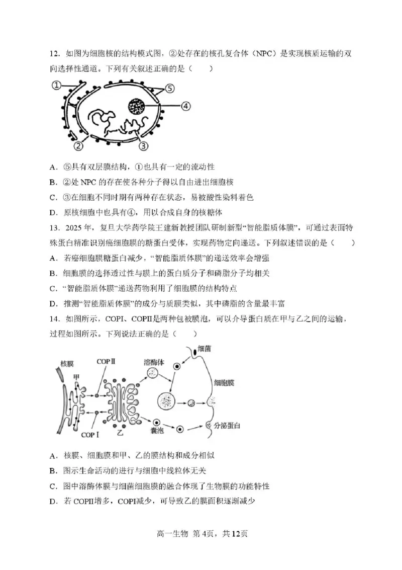 黑龙江省哈尔滨市第三中学校2025-2026学年高一上学期11月期中生物试题含答案_2025年11月高一试卷_251110河黑龙江省哈尔滨市第三中学校2025-2026学年高一上学期11月期中考试（全）