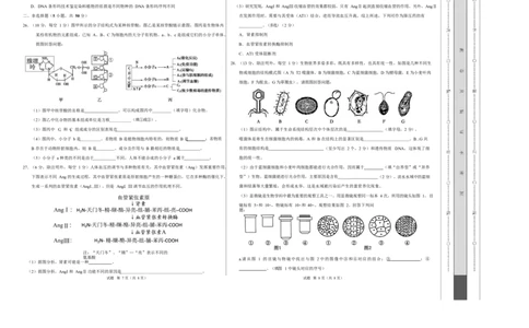 高一生物上学期第一次月考测试范围：必修1第1、2章（福建专用）（考试版A3）_2025年10月高一试卷_2510032025-2026学年高一生物上学期第一次月考