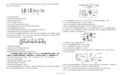 高一生物2501开学检测试卷_2025年03月试卷_0316河北省张家口市第一中学2024-2025学年高一下学期开学考试