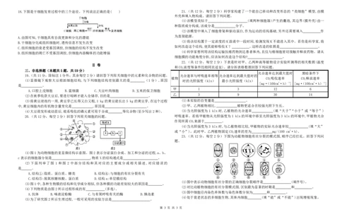 高一生物2501开学检测试卷_2025年03月试卷_0316河北省张家口市第一中学2024-2025学年高一下学期开学考试