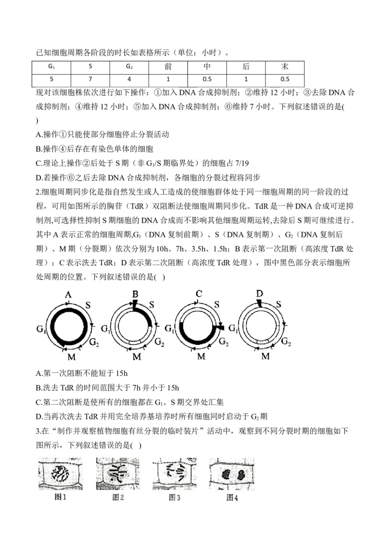 （7）细胞的生命历程&mdash;&mdash;2025届高考生物二轮复习易错重难提升（含解析）_2025年新高考资料_二轮复习_2025届高考生物二轮复习易错重难提升（含解析）