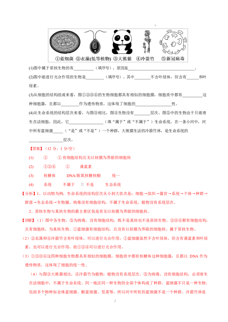 高一生物上学期第一次月考卷（四川专用）（全解全析）_2025年10月高一试卷_2510032025-2026学年高一生物上学期第一次月考
