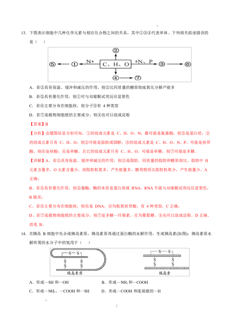 高一生物上学期第一次月考卷（四川专用）（全解全析）_2025年10月高一试卷_2510032025-2026学年高一生物上学期第一次月考