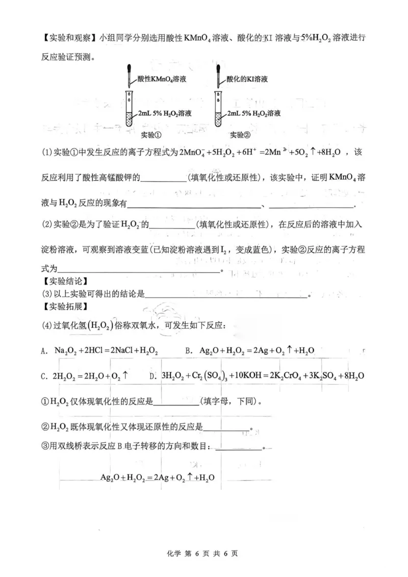 麓山国际共同体学校25级高一10月学情检测_2025年10月高一试卷_251029湖南省长沙麓山国际实验学校2025-2026学年高一上学期10月月考（全）