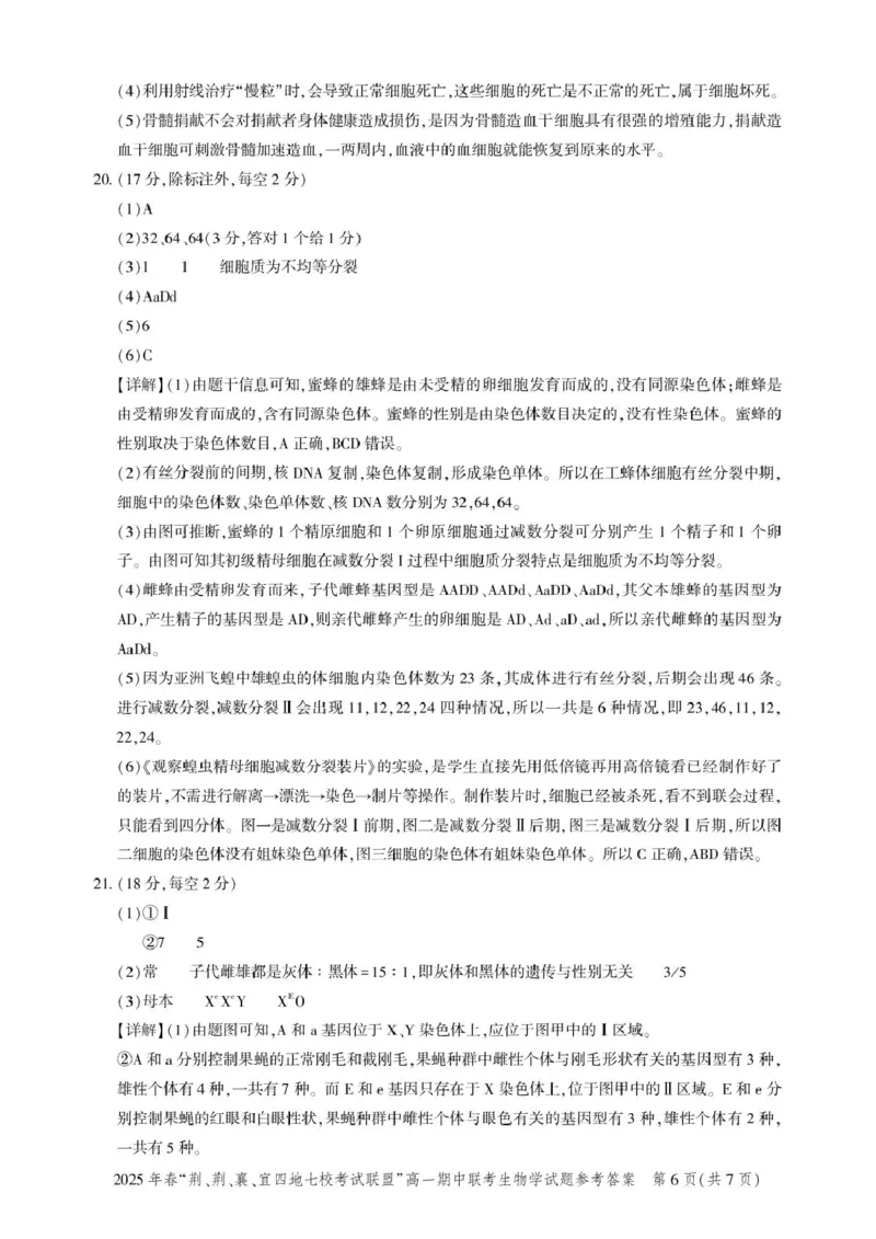高一期中联考-生物答案_2025年05月试卷_0521湖北省&ldquo;荆、荆、襄、宜四地七校考试联盟&rdquo;2024-2025学年高一下学期期中联考
