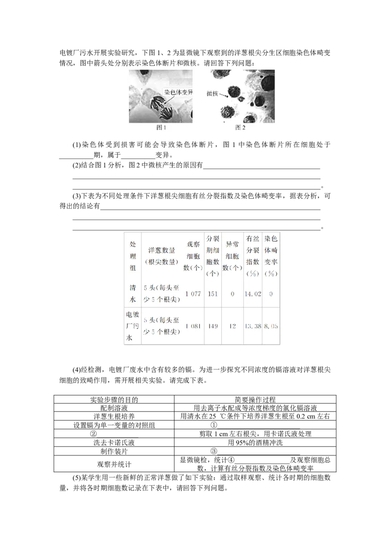 高一生物试题考试板_2025年05月试卷_0530湖北省部分高中协作体联考2024-2025学年高一下学期5月月考_湖北省部分高中协作体联考2024-2025学年高一下学期5月月考生物试题（有答案）