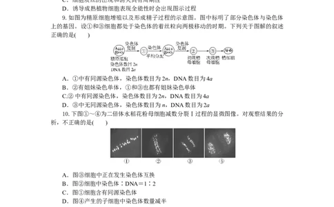 高一生物试题考试板_2025年05月试卷_0530湖北省部分高中协作体联考2024-2025学年高一下学期5月月考_湖北省部分高中协作体联考2024-2025学年高一下学期5月月考生物试题（有答案）