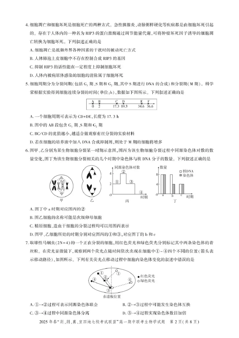 高一期中联考-生物试卷_2025年05月试卷_0521湖北省&ldquo;荆、荆、襄、宜四地七校考试联盟&rdquo;2024-2025学年高一下学期期中联考