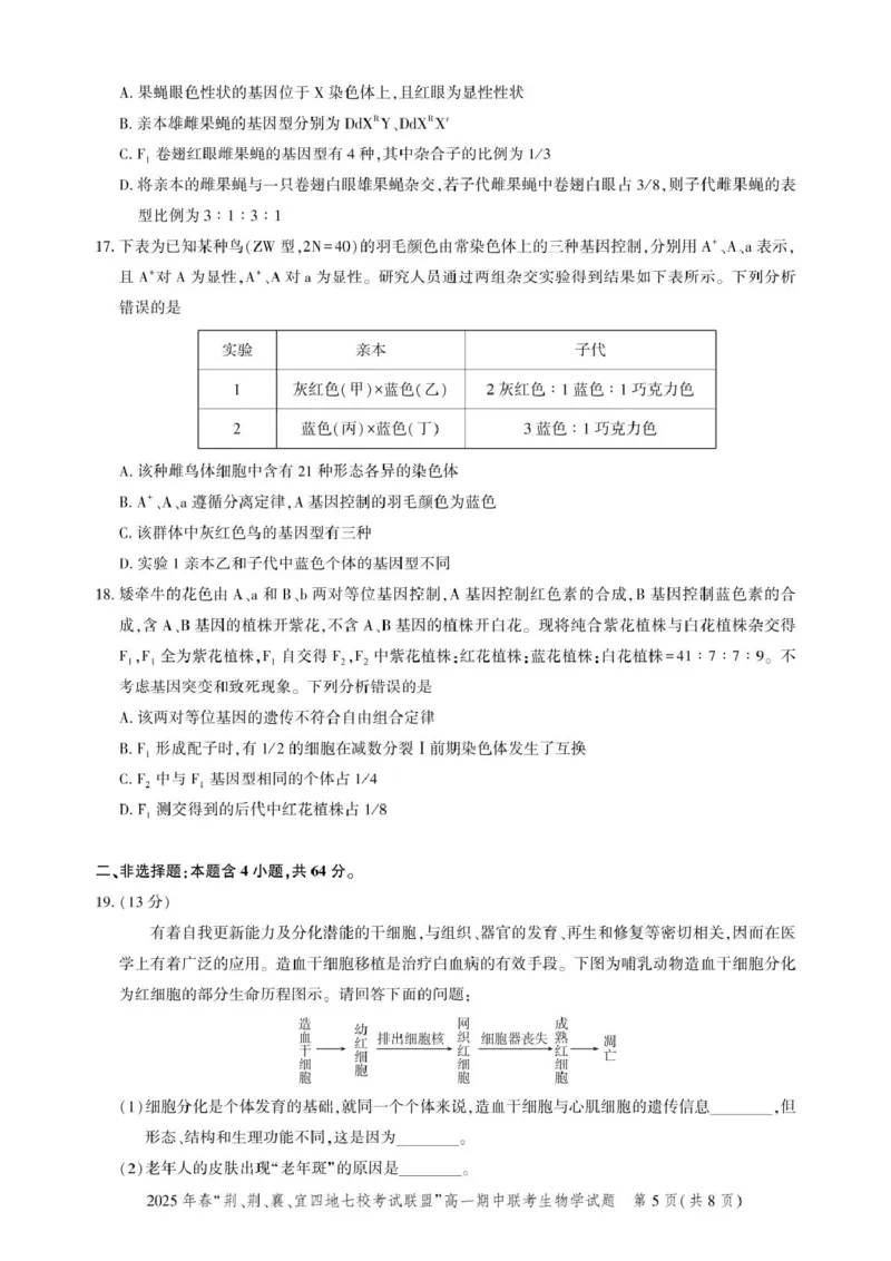 高一期中联考-生物试卷_2025年05月试卷_0521湖北省&ldquo;荆、荆、襄、宜四地七校考试联盟&rdquo;2024-2025学年高一下学期期中联考