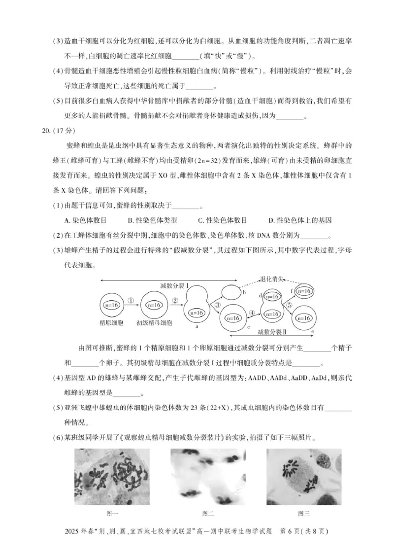 高一期中联考-生物试卷_2025年05月试卷_0521湖北省&ldquo;荆、荆、襄、宜四地七校考试联盟&rdquo;2024-2025学年高一下学期期中联考