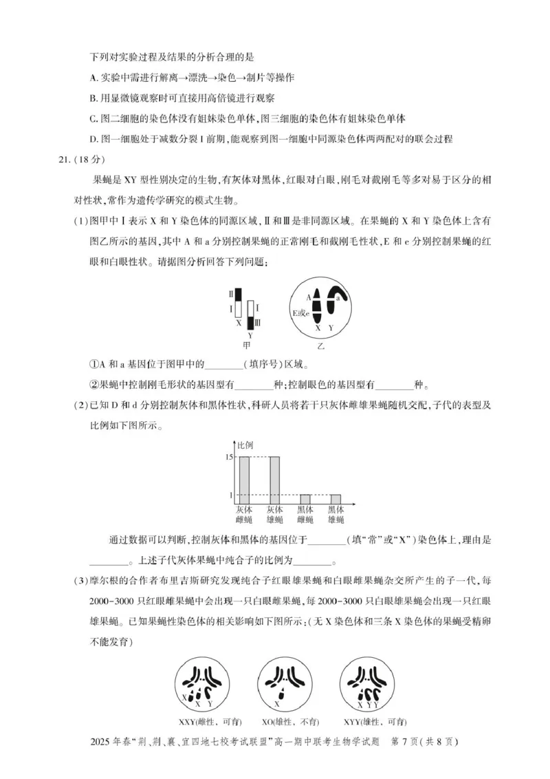 高一期中联考-生物试卷_2025年05月试卷_0521湖北省&ldquo;荆、荆、襄、宜四地七校考试联盟&rdquo;2024-2025学年高一下学期期中联考